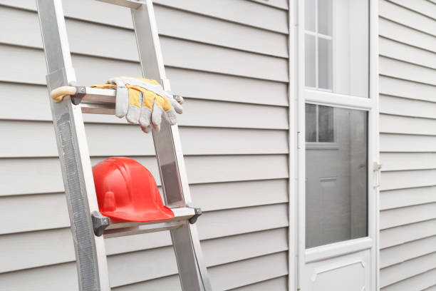 Best Custom Siding Design  in Chandler, AZ